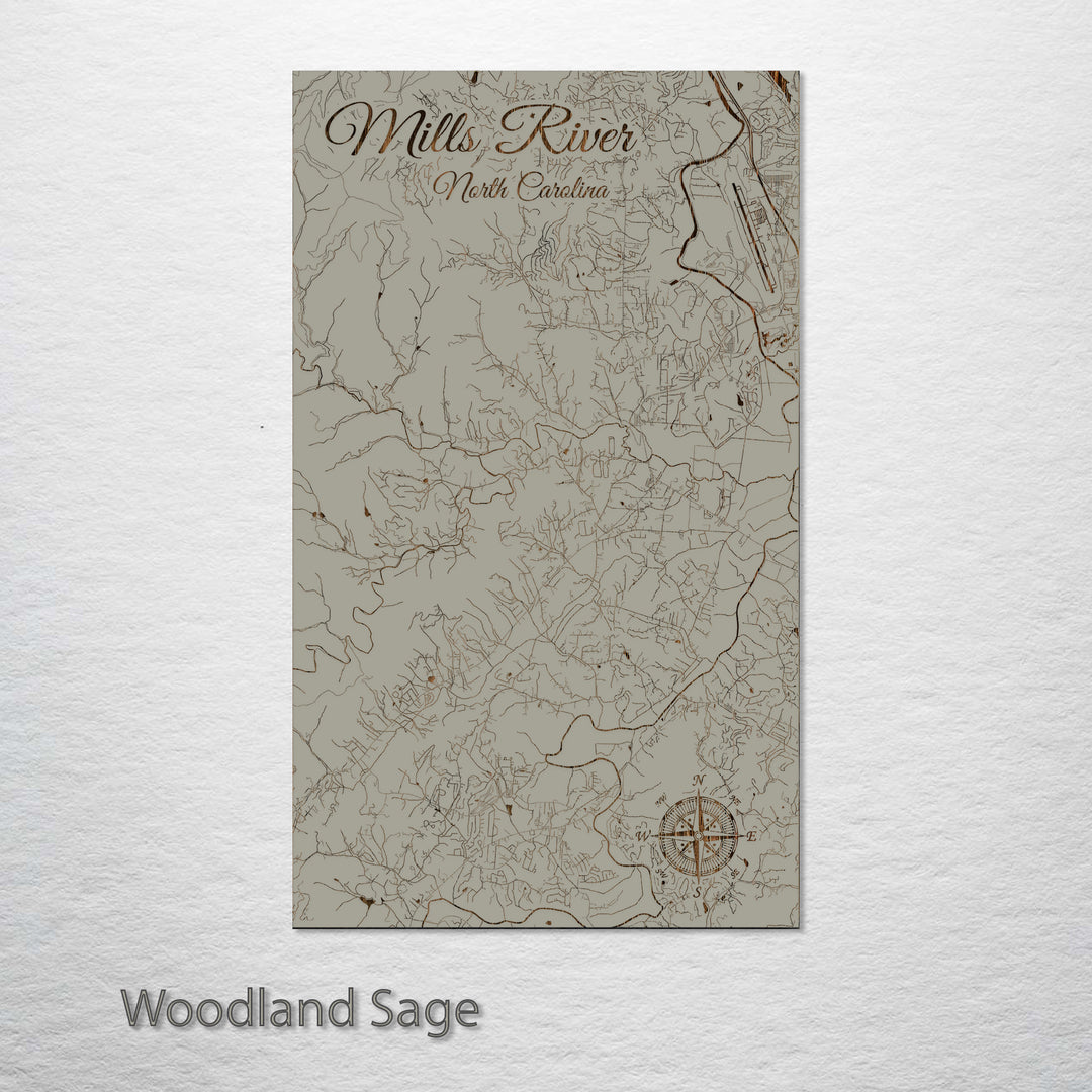 Mills River, North Carolina Street Map