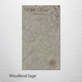 Mills River, North Carolina Street Map