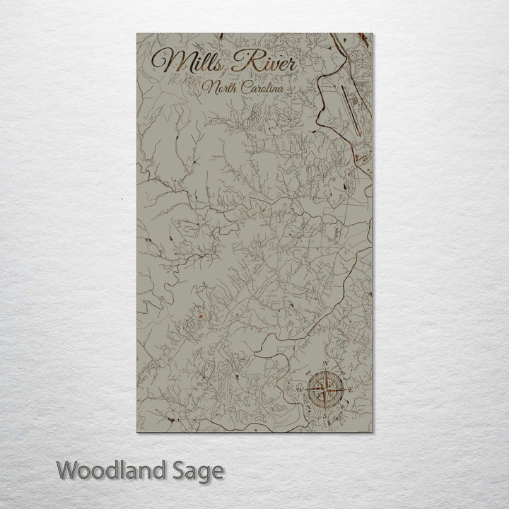 Mills River, North Carolina Street Map