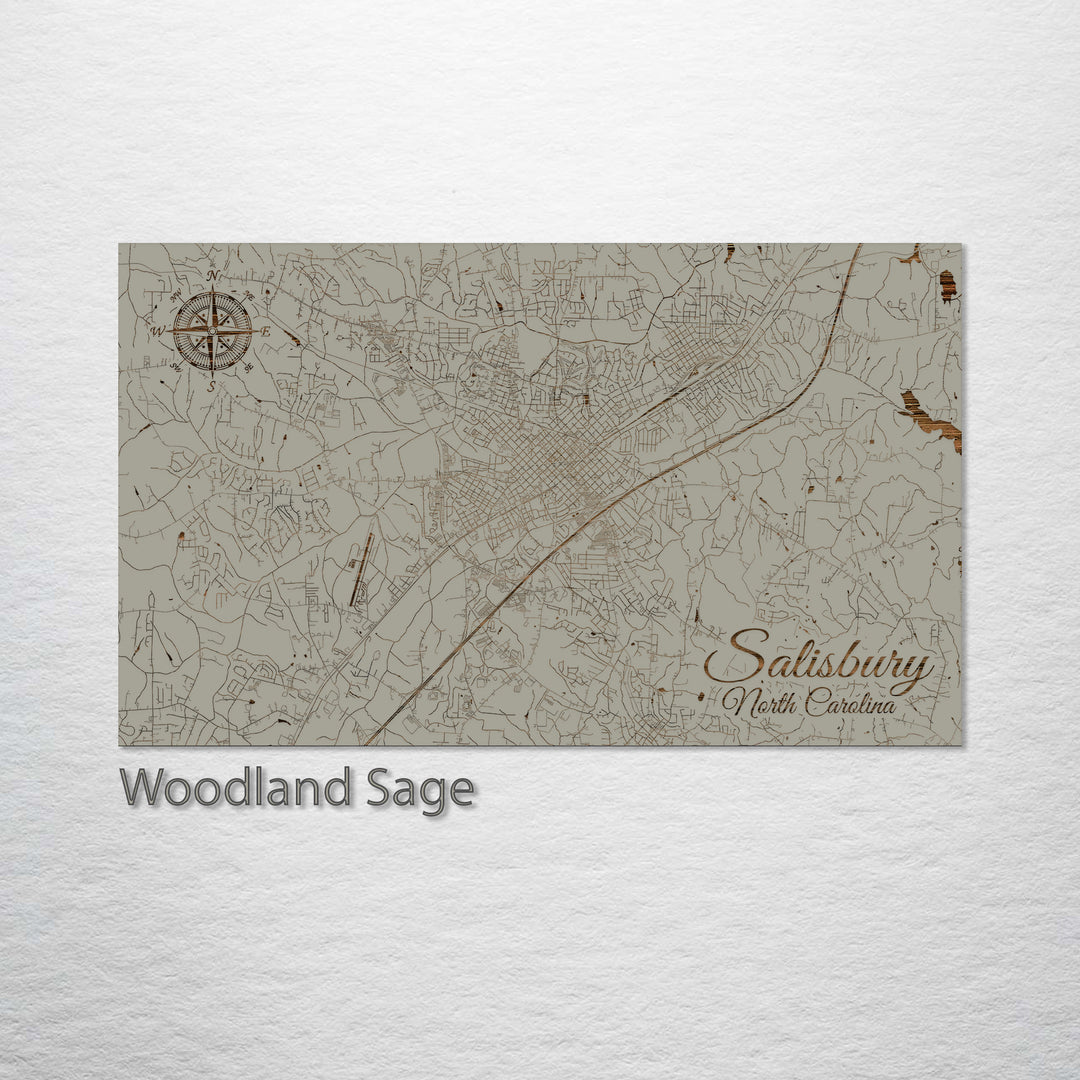 Salisbury, North Carolina Street Map