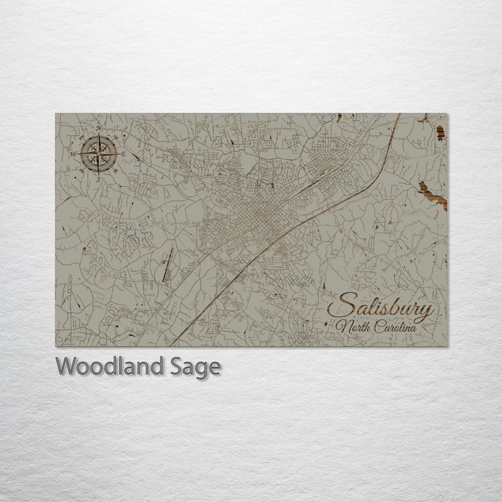 Salisbury, North Carolina Street Map