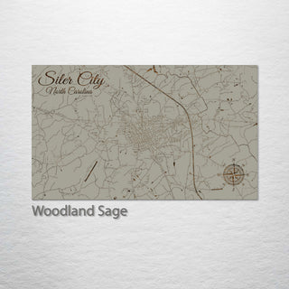 Siler City, North Carolina Street Map