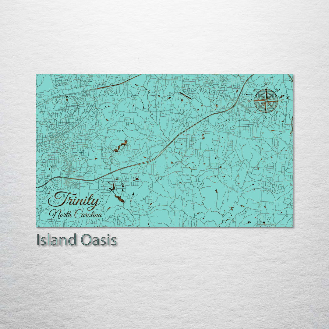 Trinity, North Carolina Street Map