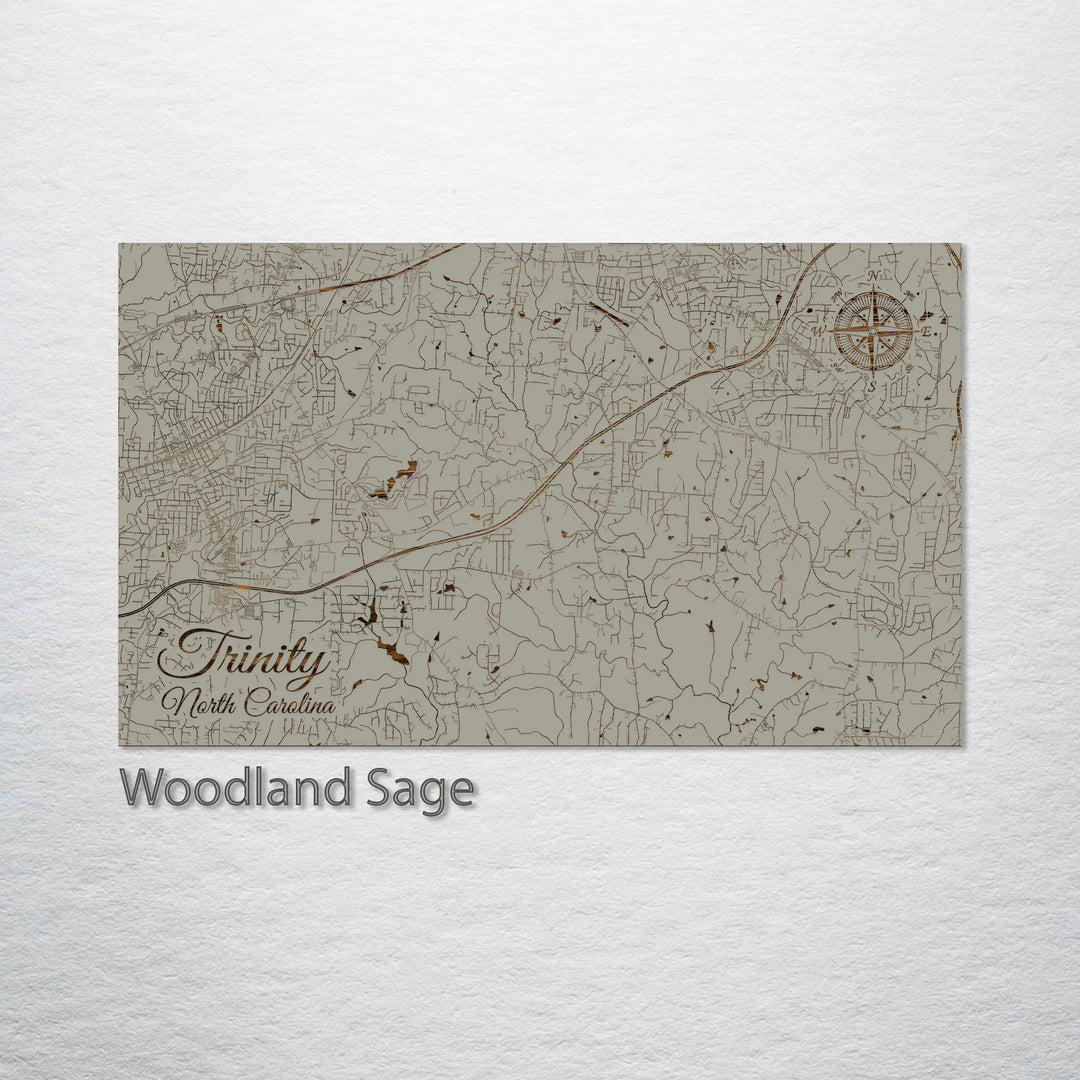 Trinity, North Carolina Street Map