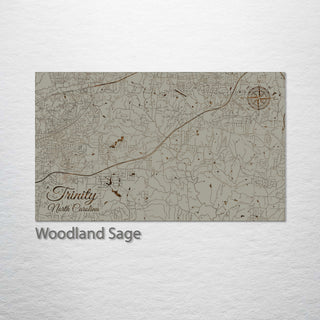 Trinity, North Carolina Street Map