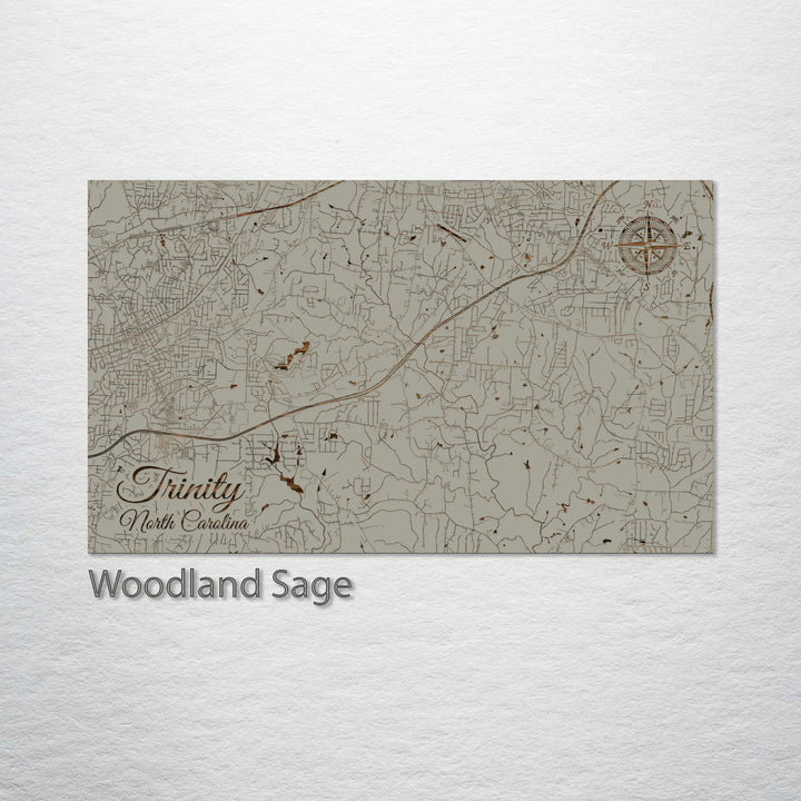 Trinity, North Carolina Street Map