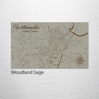 Williamston, North Carolina Street Map