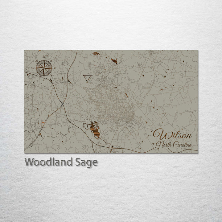 Wilson, North Carolina Street Map