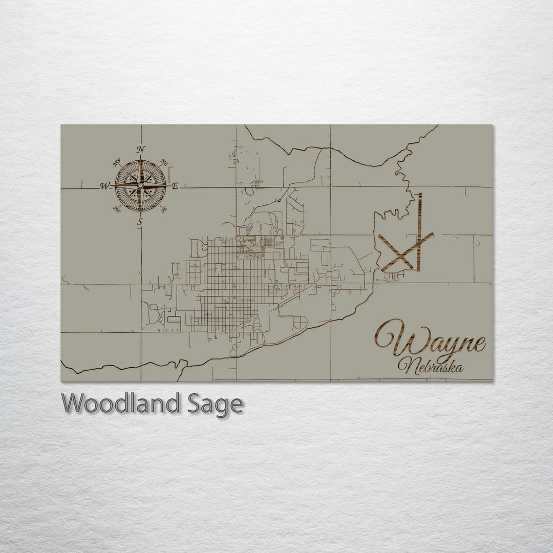 Wayne, Nebraska Street Map