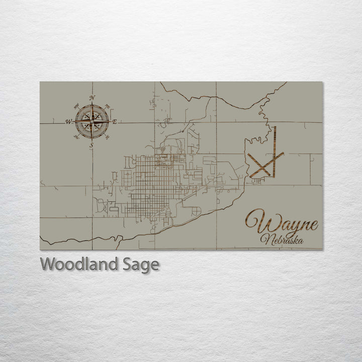 Wayne, Nebraska Street Map