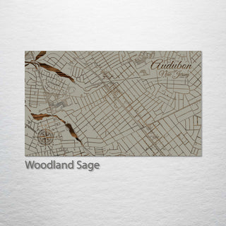 Audubon, New Jersey Street Map
