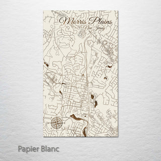 Morris Plains, New Jersey Street Map