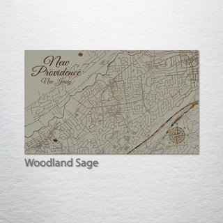 New Providence, New Jersey Street Map