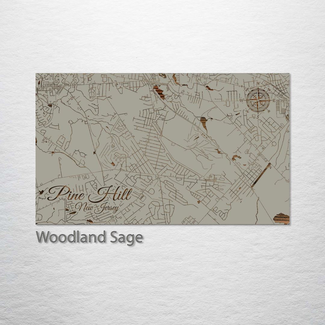 Pine Hill, New Jersey Street Map