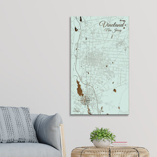 Vineland, New Jersey Street Map