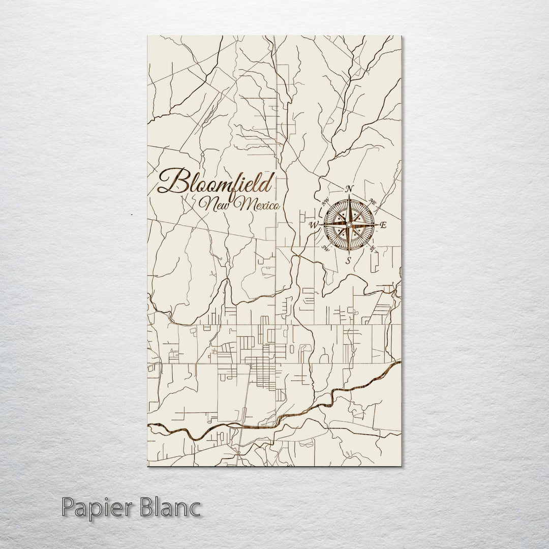 Bloomfield, New Mexico Street Map