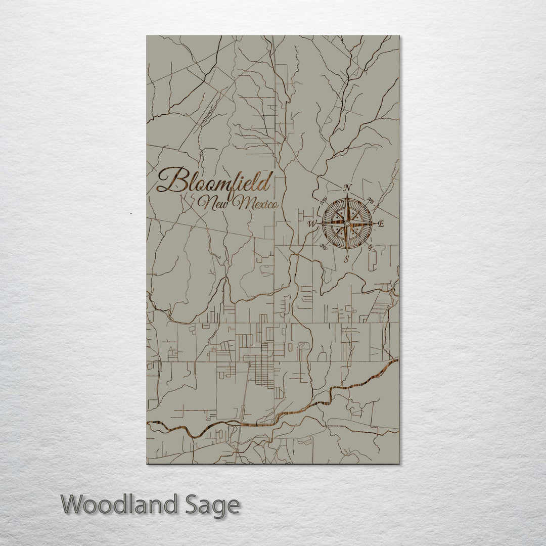 Bloomfield, New Mexico Street Map