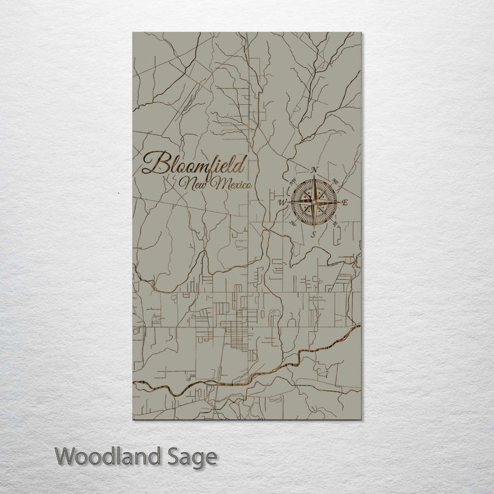 Bloomfield, New Mexico Street Map