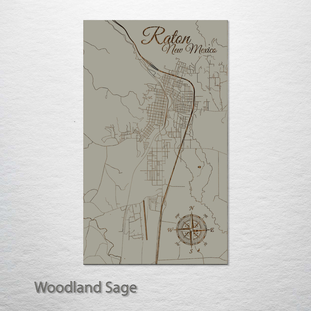 Raton, New Mexico Street Map