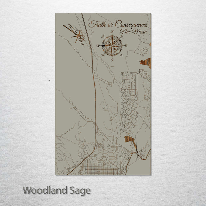 Truth or Consequences, New Mexico Street Map