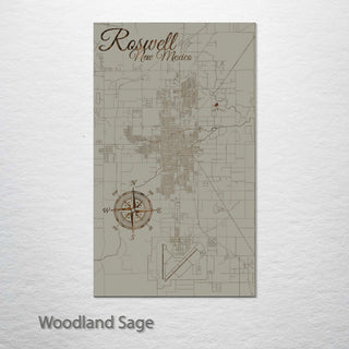 Roswell, New Mexico Street Map