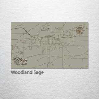 Albion, New York Street Map