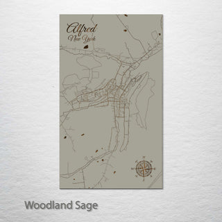 Alfred, New York Street Map