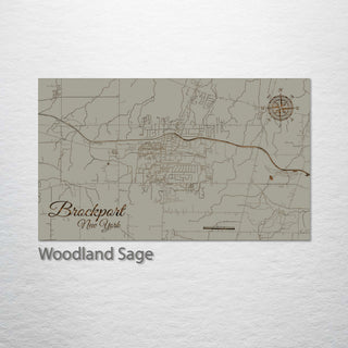 Brockport, New York Street Map