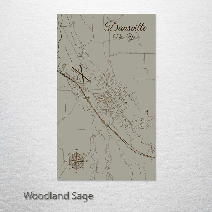 Dansville, New York Street Map