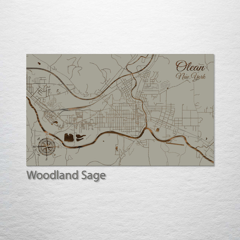 Olean, New York Street Map Fire & Pine