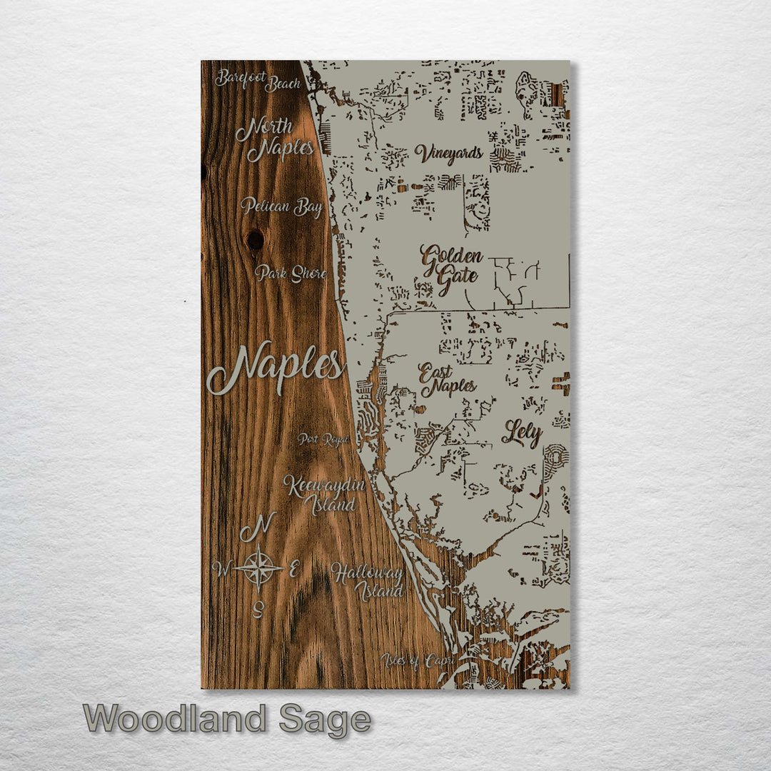 Naples, Florida Whimsical Map - Fire & Pine