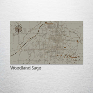 Alliance, Ohio Street Map