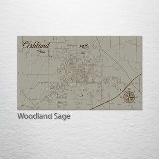 Ashland, Ohio Street Map