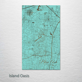 Blue Ash, Ohio Street Map