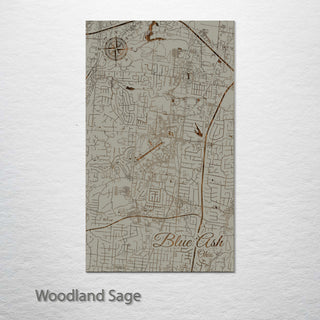Blue Ash, Ohio Street Map