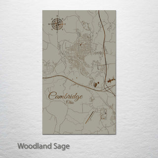 Cambridge, Ohio Street Map