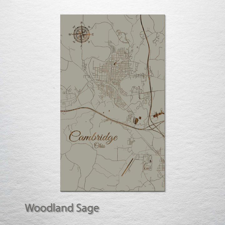 Cambridge, Ohio Street Map