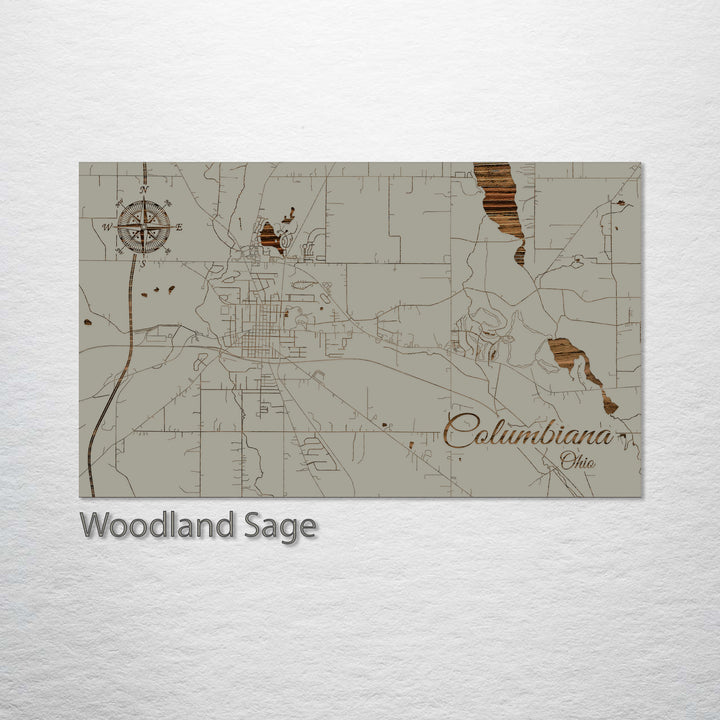 Columbiana, Ohio Street Map