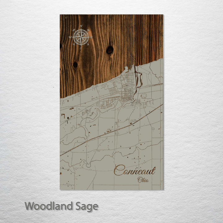 Conneaut, Ohio Street Map