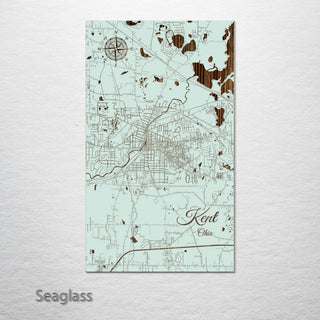 Kent, Ohio Street Map