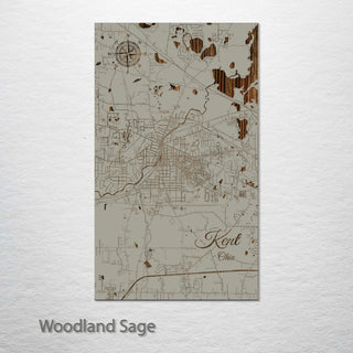 Kent, Ohio Street Map