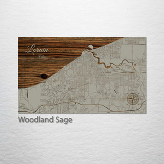 Lorain, Ohio Street Map