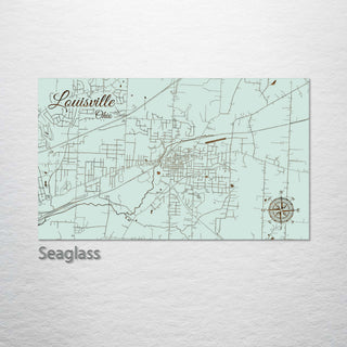 Louisville, Ohio Street Map