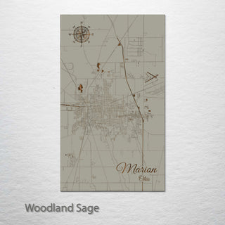 Marion, Ohio Street Map