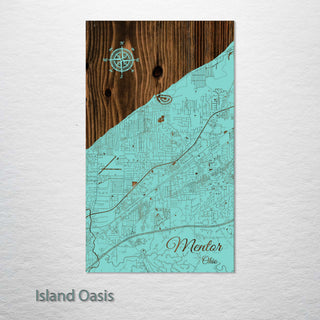Mentor, Ohio Street Map