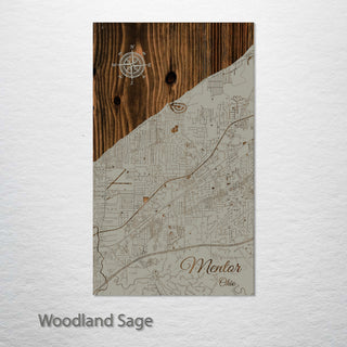 Mentor, Ohio Street Map