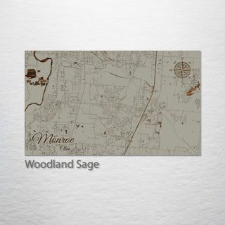 Monroe, Ohio Street Map