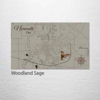 Norwalk, Ohio Street Map