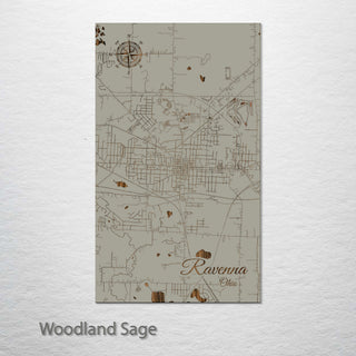 Ravenna, Ohio Street Map