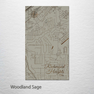 Richmond Heights, Ohio Street Map